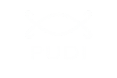Pudi