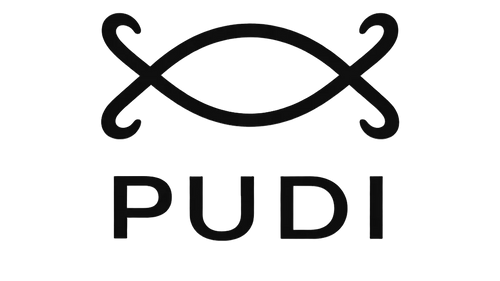 Pudi